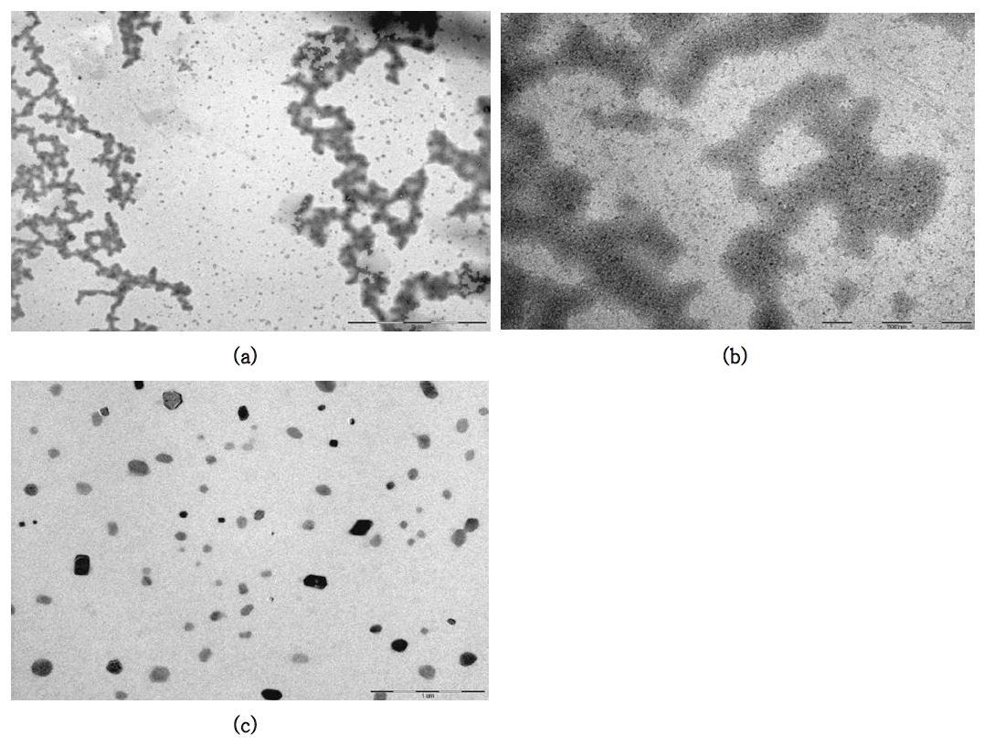 TEM imgages of fabricated WPI–Vit E nanoparticles(after in vitro digestion test)