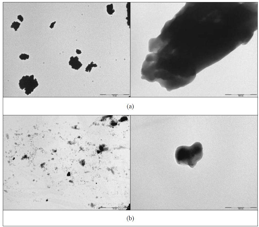 TEM micrographs of red-ginseng powder
