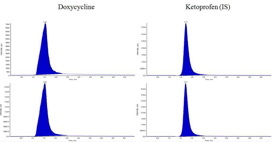 검량선 1 μg/mL (위)과 속방정 투여 후 0.5 시간 (아래)에서의 doxycyline과 ketoprofen (IS) MRM에서의 크로마토그램