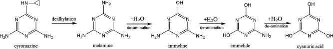 Cyromazine이 Cyanuric acid로 구조변경이 일어나는 과정