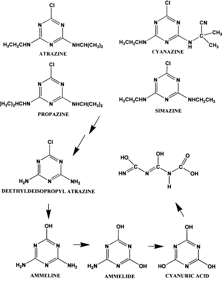 Triazine 계열의 살균소독물질의 Decomposition(2) 전처리 방법의 확립