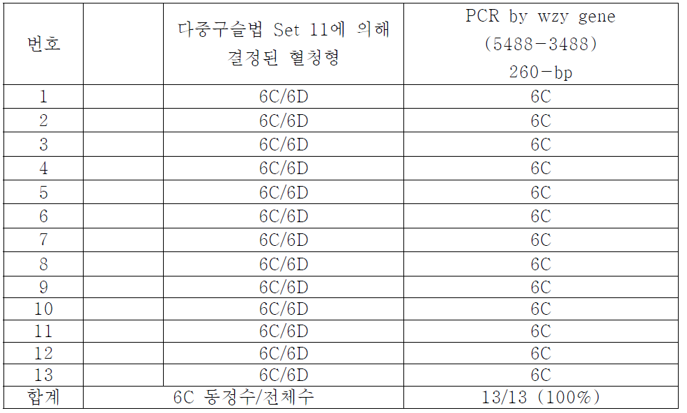 6C/6D 혈청형 분석 결과