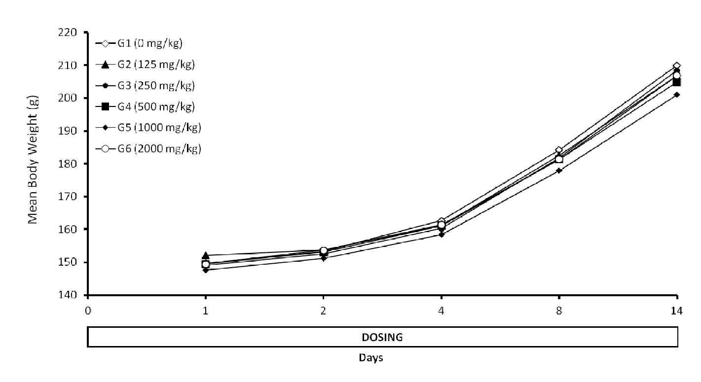 Mean Body Weight of Male