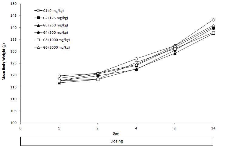 Mean Body Weight of Female