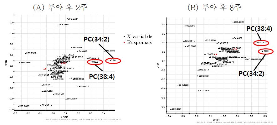 투약 후 2주, 8주에서의 PLS-DA에 대한 loading plot(예상 marker : PC(38:4) m/z 810.600, PC(34:2) m/z 758.569)