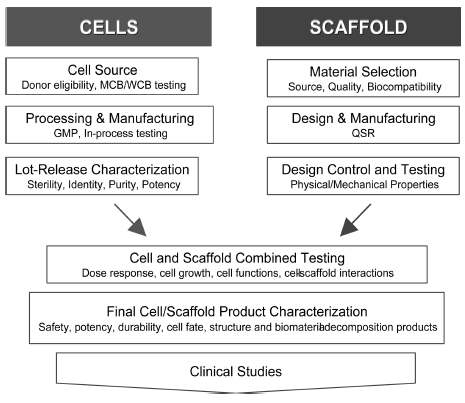 세포-스캐폴드 복합제품에 대한 안전성과 유효성 평가 시 고려사항