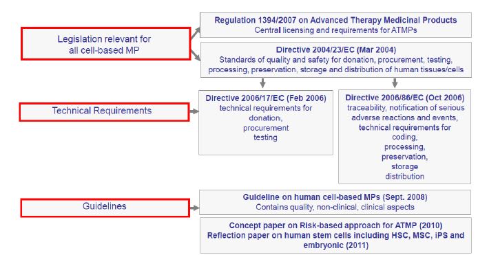 세포, 조직과 관련된 EMA regulatory framework