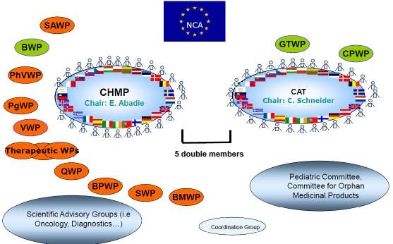 유럽연합의 바이오의약품 규제 네트워크
