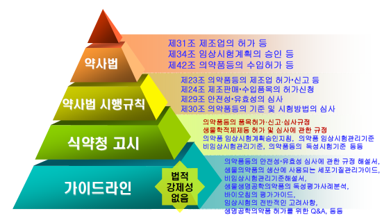 의약품 등 허가관련 규정