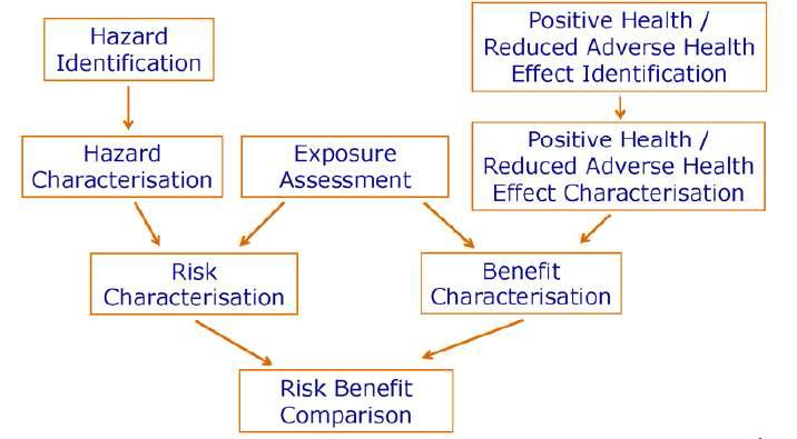 The risk-benefit assessment paradigm. as recommended by the EFSA Scientific Committee and based on the discussions of the EFSA scientific colloquium on risk-benefit analysis of foods