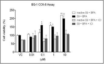 BG1 세포주 증식효과 CCK-8 Assay 결과. (* p<0.05, ** p<0.01)