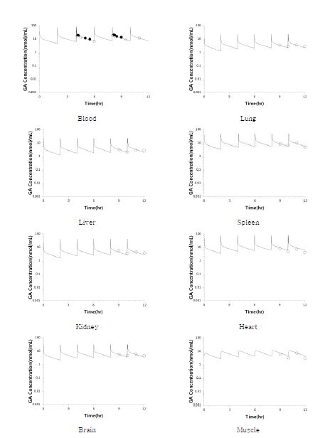 Figure 28. 랫트에 글리시드아마이드를 1 mg/kg 용량으로 6회 반복정맥투여 ( τ = 2 hr) 한 후 얻어진 글리시드아마이드의 혈중 농도, 조직에서의 농도 그리고 뇨 배설량의 실측치와 GA -PBPK 모델로부터 simulation한 예측치의 비교