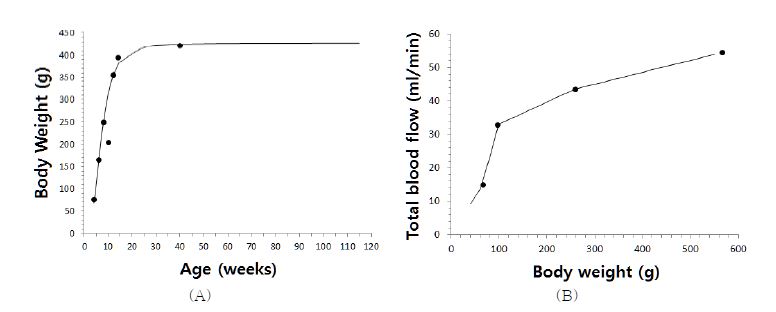 Figure 31. (A ) 랫트 연령에 따른 체중변화, (B) 랫트 체중에 따른 혈류속도 변화 그래프