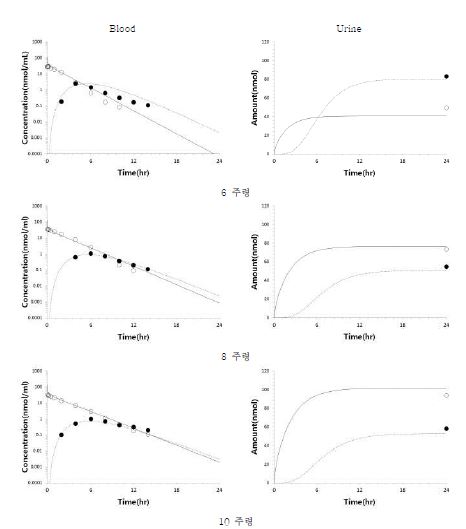 Figure 33. 아크릴아마이드를 2 mg/kg 용량으로 6주령, 8주령, 10주령의 랫트에 각각 단회정맥투여 후 얻어진 아크릴아마이드(○) 및 글리시드아마이드(●)의 실측치와 예측치