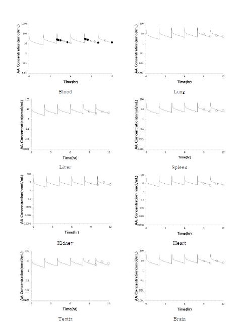 Figure 34. 랫트에 아크릴아마이드를 1 mg/kg 용량으로 6회 반복정맥투여 ( τ = 2 hr) 한 후 얻어진 아크릴아마이드의 혈중 농도, 조직