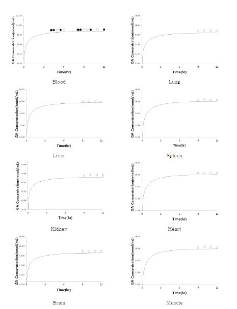 Figure 36. 랫트에 아크릴아마이드를 1 mg/kg 용량으로 6회 반복정맥투여 ( τ = 2 hr) 한 후 얻어진 글리시드아마이드의 혈중 농도, 조직