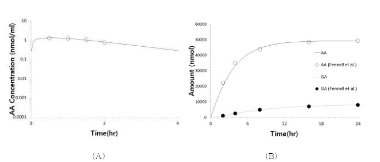 Figure 44. (A ) 아크릴아마이드를 20 ug/kg 용량으로 인체에 경구로 노출시킨 후 얻어진 아크릴아마이드의 혈중농도의 실측치 (Kopp and Dekant, 2009)와 PKPK 모델로부터 예측된 결과 (B) 아크릴아마이드를 1 mg/kg 용량으로 인간에 경구투여한 후 얻어진 아크릴아마이드 와 글리시드아마이드의 뇨배설량 (Fennell et al., 2006)과 PBPK 모델로부터 예측된 결과의 비교