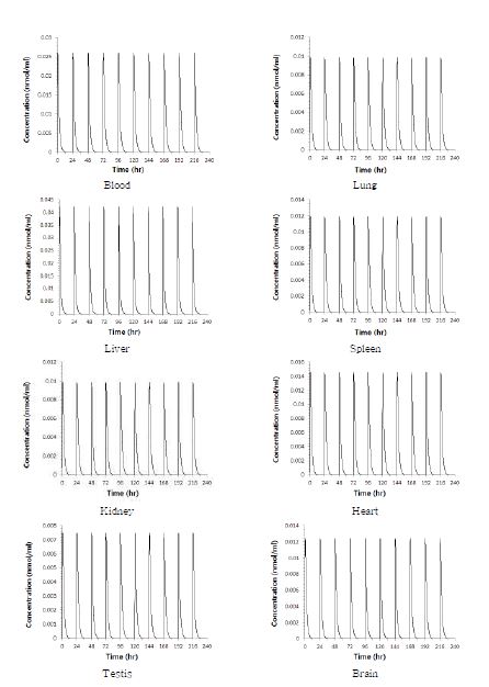 Figure 46. 25세 남성이 아크릴아마이드에 20 ㎍/kg/day의 용량으로 10일간 경구로 노출되었을 때, 아크릴아마이드의 조직 및 혈액에서의 시간-농도 곡선 및 뇨중 누적 배설량