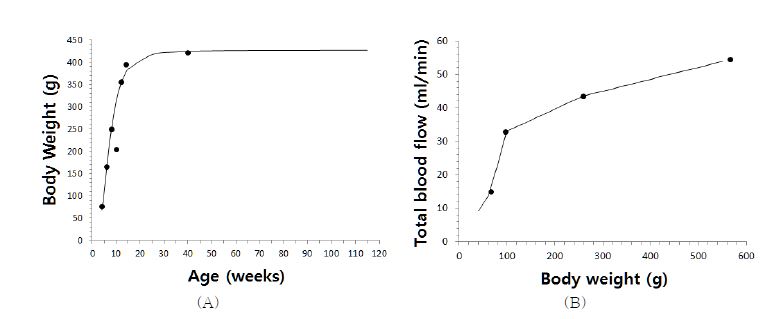 Figure 2-8. (A ) 랫트 연령에 따른 체중변화, (B) 랫트 체중에 따른 혈류속도 변화 그래프