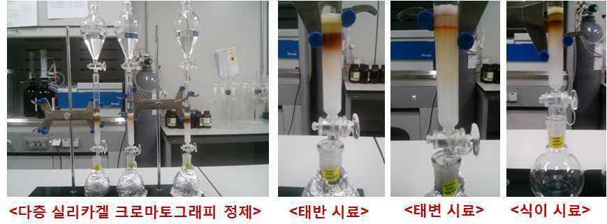 다층 실리카겔 크로마토그래피를 이용한 태반, 태변, 식이시료의 정제