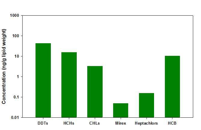 태반시료 중 DDTs, HCHs, CHLs, Mirex, Heptachlors, HCB의 농도.