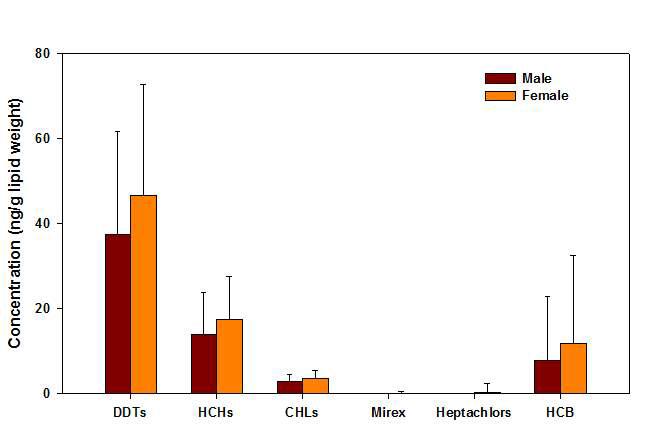 태반시료 중 출생아 성별에 따른 DDTs, HCHs, CHLs, Mirex, Heptachlors, HCB의 농도