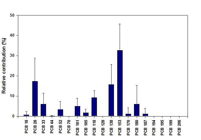 태반시료 중 PCB 이성체의 축적 패턴.