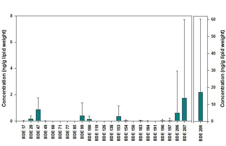 태반시료 중 PBDE 이성체별 농도.