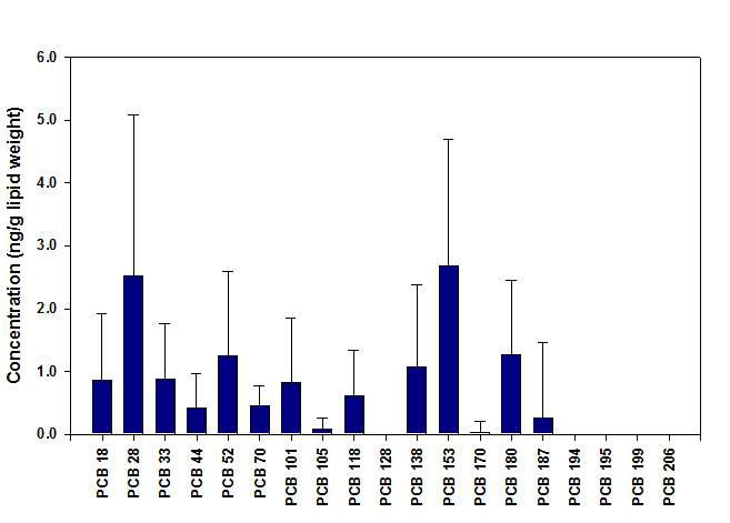 태변시료 중 PCB 이성체별의 농도.