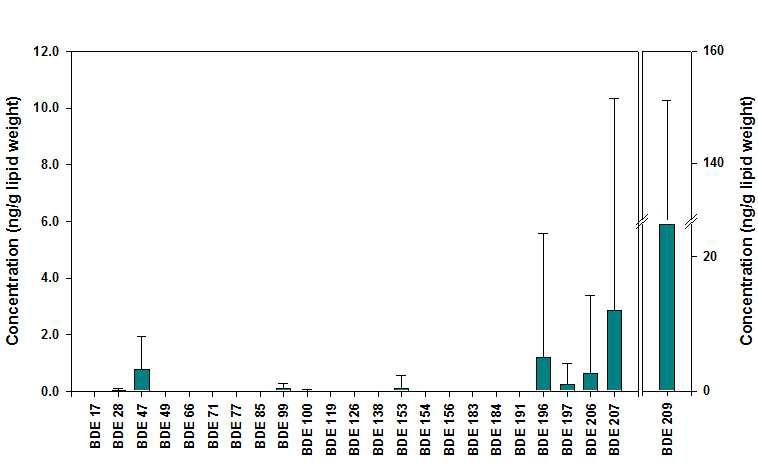 태변시료 중 PBDE 이성체별 농도.