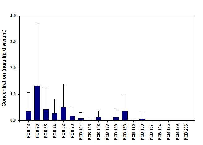 식이시료 중 PCB 이성체의 농도.
