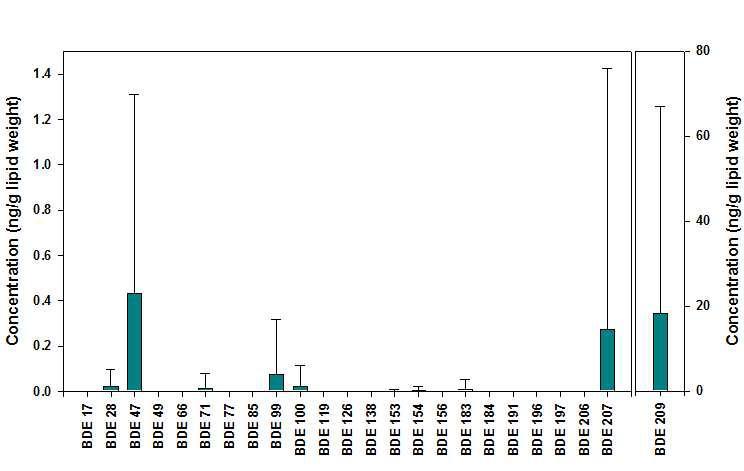 식이시료 중 PBDE 이성체별 농도.