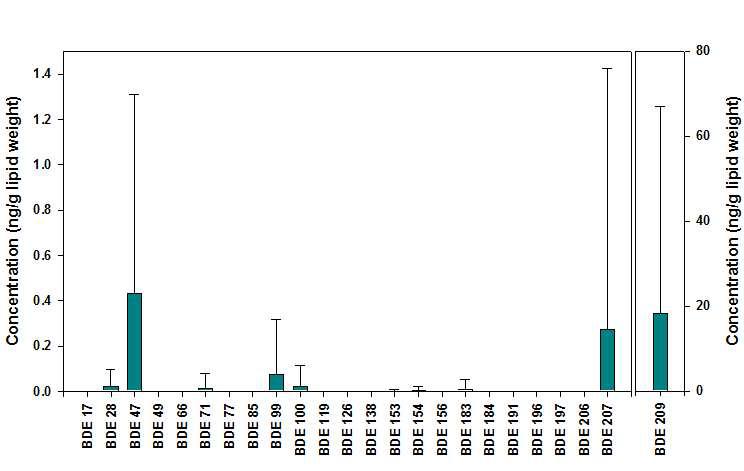 식이시료 중 PBDE 이성체별 농도.