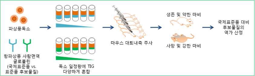 독소중화법 시험 순서