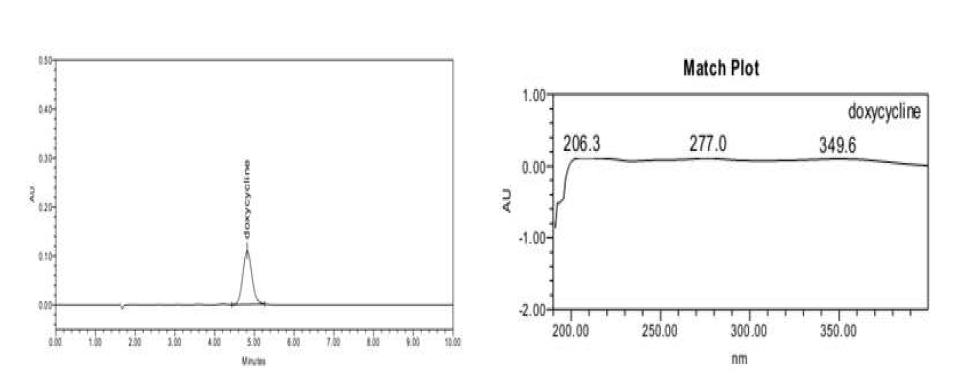 독시사이클린의 용출시험 분석방법의 특이성 (표준액)