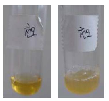 Identification test of raw of Aconiti Tuber.