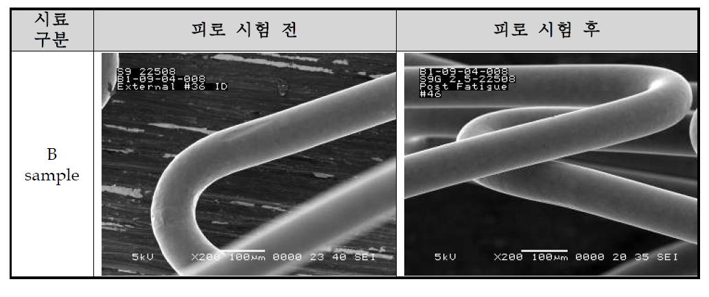 가속내구성 시험 전후 스텐트의 전자현미경(SEM) 관찰 사진