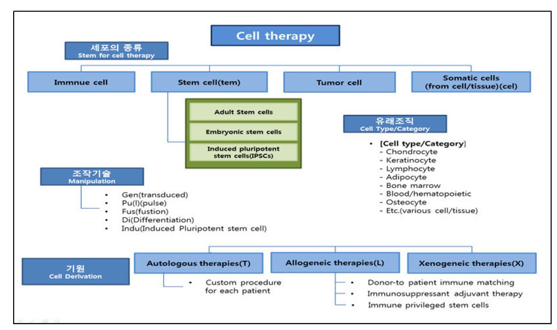 세포치료제의 분류체계도, 세포의 종류, 유래조직, 조작기술, 세포의 기원이 각 분류를 위한기본 구성으로 포함