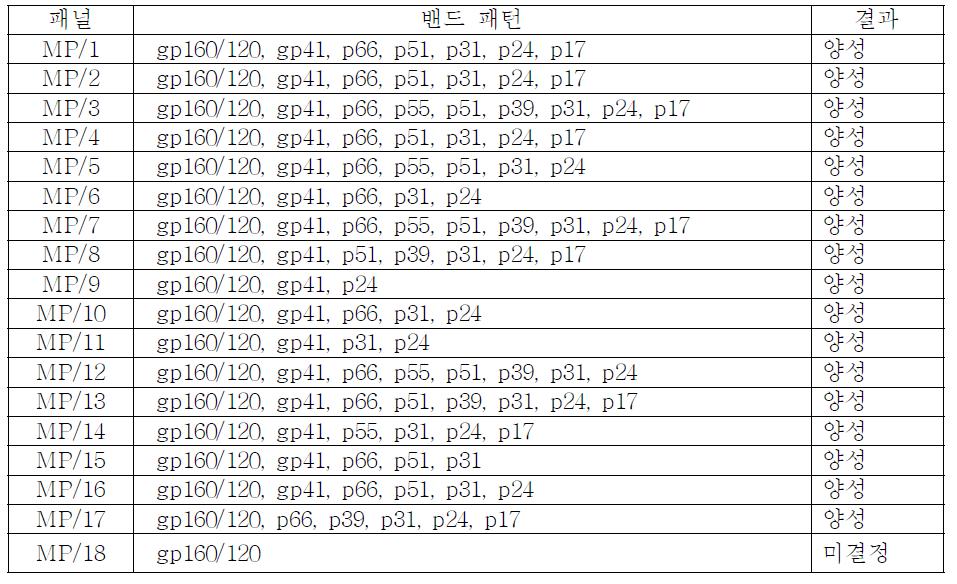 선정된 후보물질의 웨스턴블롯 밴드 패턴