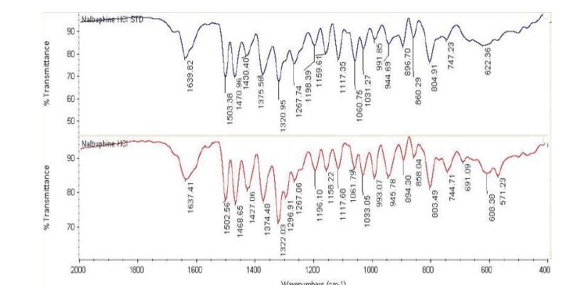 FT-IR spectrum of Nabuphine Hydrochoride USP RS and sample