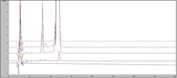 Related substances chromatogram of Dimethylamphetamine HCl