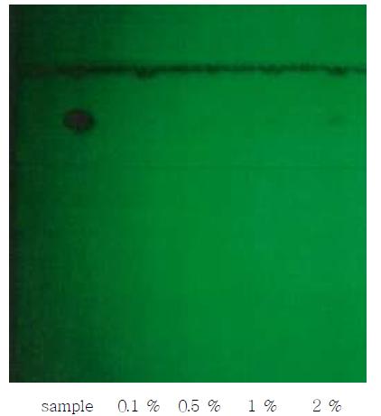 TLC Chromatogram of Lorazepam