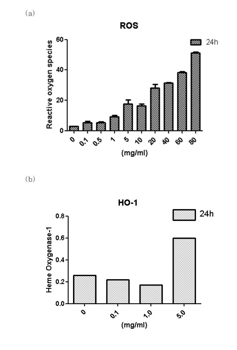 세포주(HepG2)에 24시간 동안 백출 물추출물을 농도별로 처리하여, (a) ROS assay를 통해 활성산소가 유발된 정도 및 (b) 이를 억제하는 유전자(HO-1)의 발현양 측정