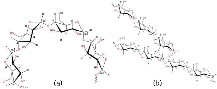 Chemical structures of amylose(a) and amylopectin(b)