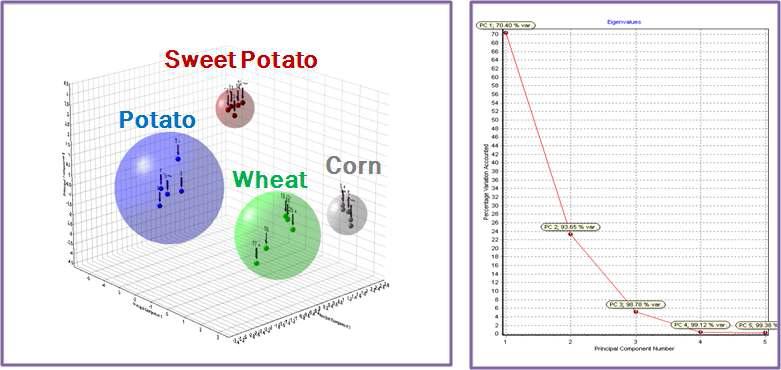 Principle component analysis of wheat flour (W), corn starch (C), potato starch (P), and sweet potato starch (SP) of different companies