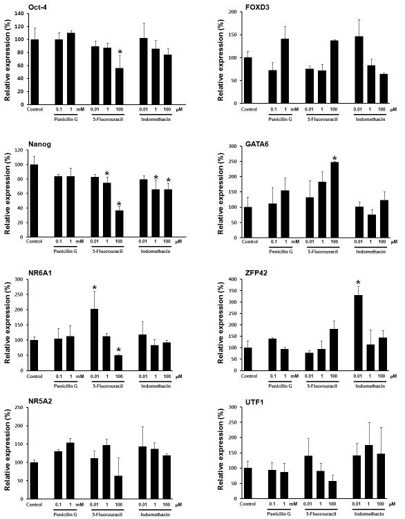 발생독성 물질(5-fluorouracil, indomethacin)과 음성대조물질 (penicilin G)에 의한 인간 배아줄기세포의 미분화능 유지 전사인자 유전자 발현 확인,