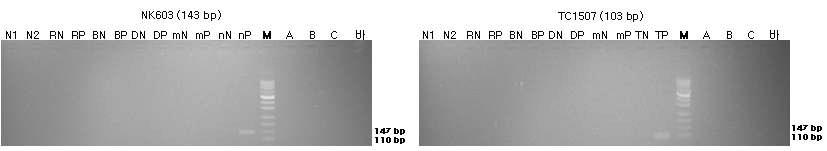 표준시료의 구조유전자(NK603과 TC1507)의 정성 PCR 분석 결과를 전기영동한 이미지