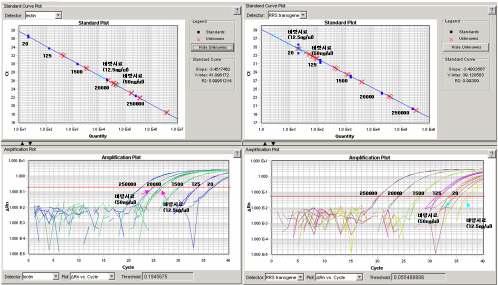Non-GM 바탕시료에 대한 real-time PCR한 결과의 standard curve plot과 amplification plot이다.