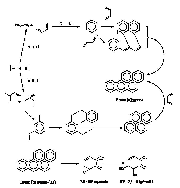 Formation and carcinogenesis of PAHs.