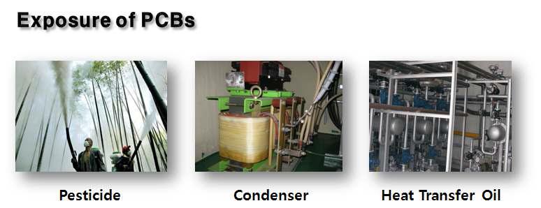 PCBs의 주요 노출경로